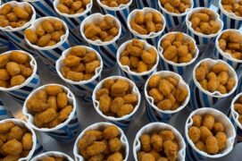 {{brizy_dc_image_alt imageSrc=