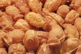 {{brizy_dc_image_alt imageSrc=