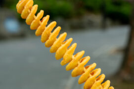 {{brizy_dc_image_alt imageSrc=